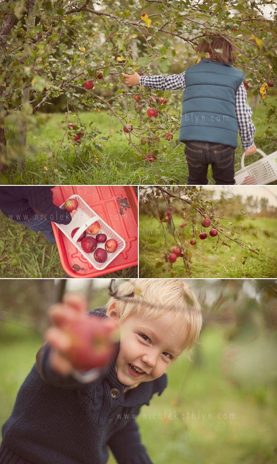Barrie Child Photographer